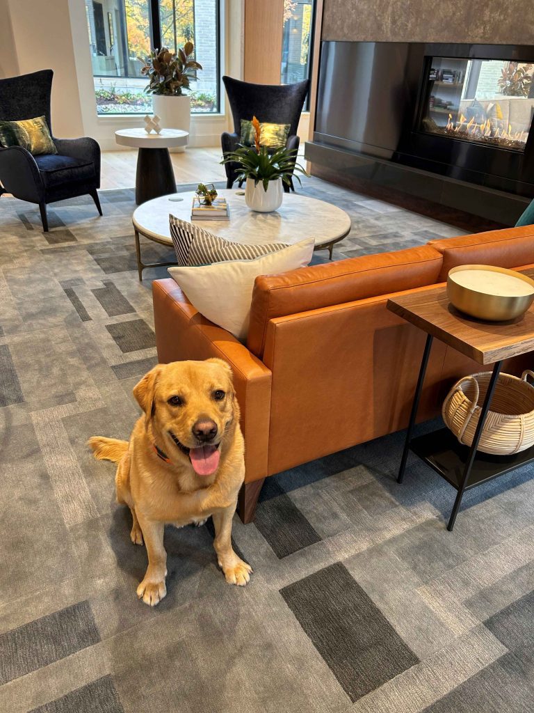 13_Lexington_Dog