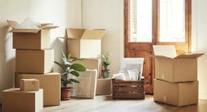 Moving boxes and potted plants at new apartment