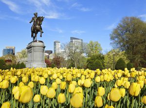 Boston Public Garden