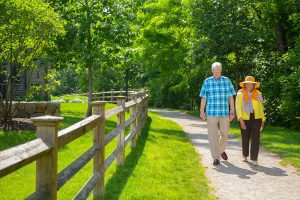 senior couple walking in a sunny park