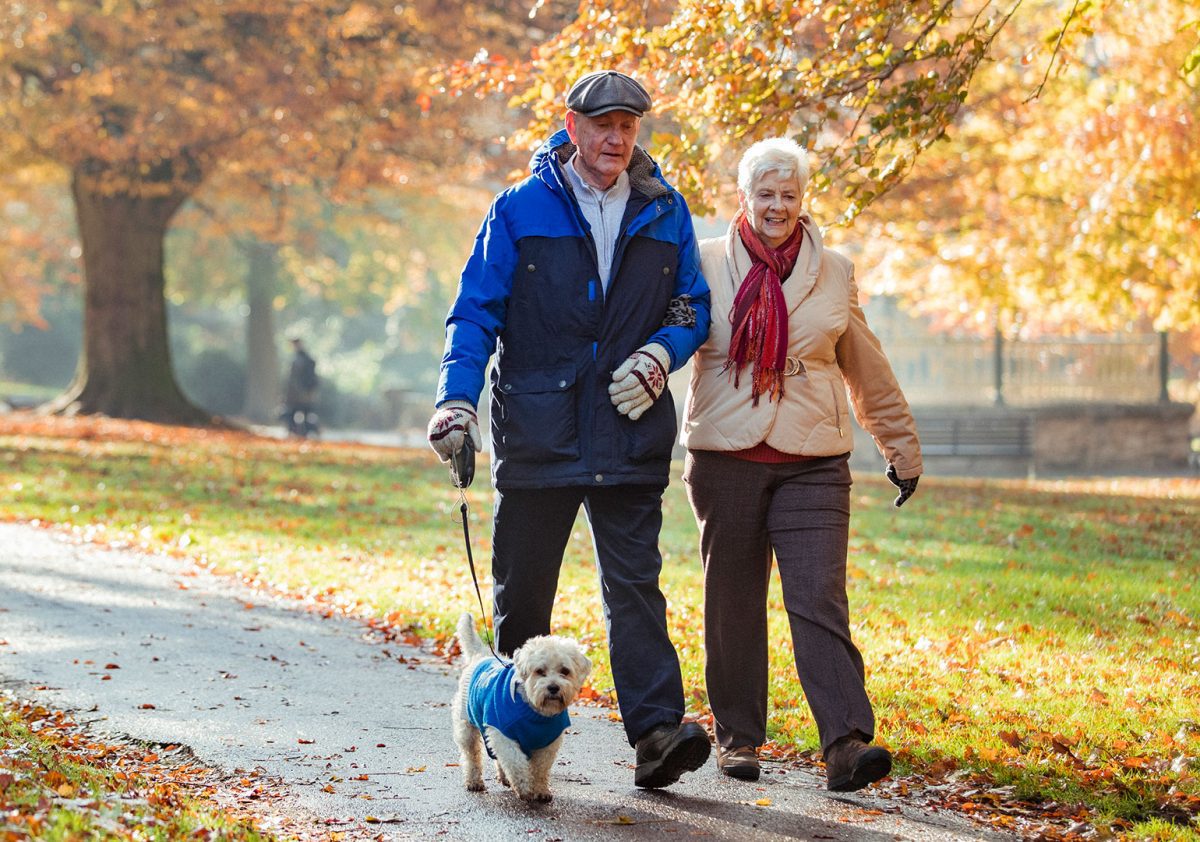 senior couple walking their small dog on a bright autumn day