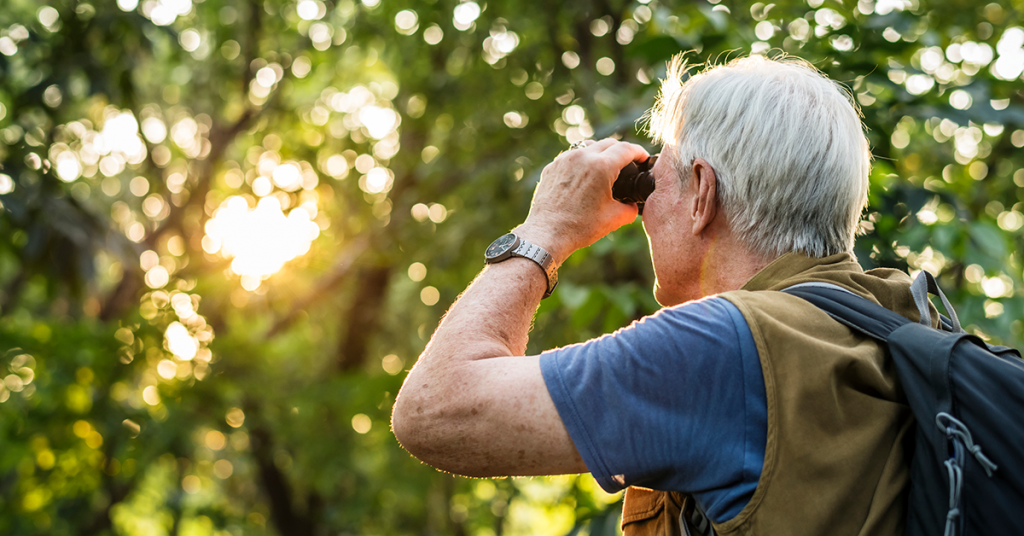 Top Summer Activities for Seniors Near Lexington