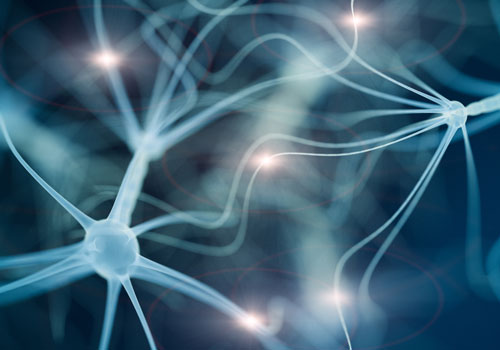 close up drawing of a representation of the neurons in a brain