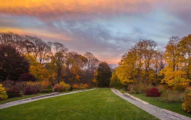 Arnold Arboretum in Boston in the sunset