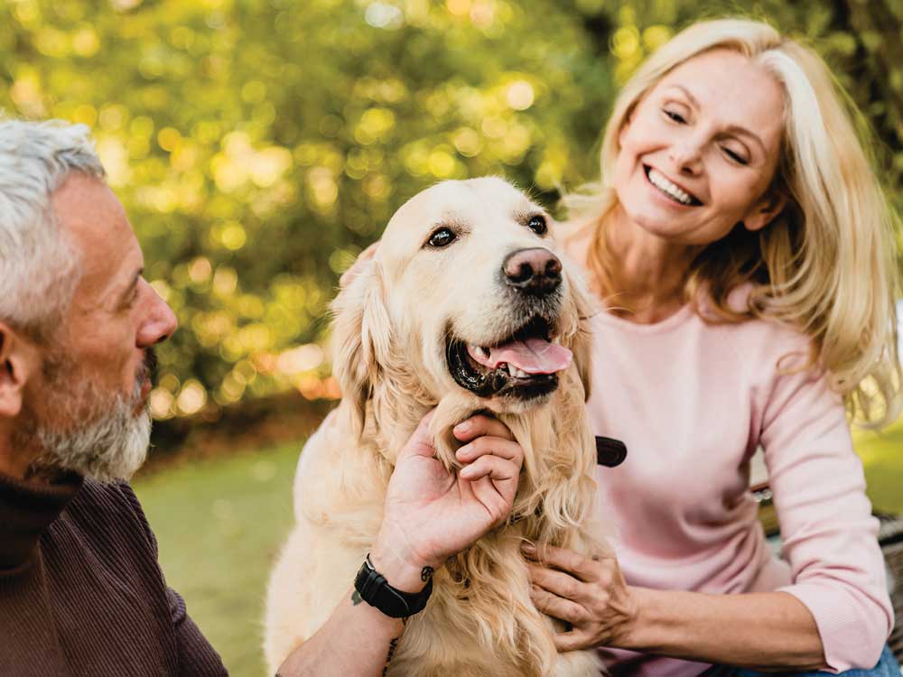 senior couple adopting a dog in retirement