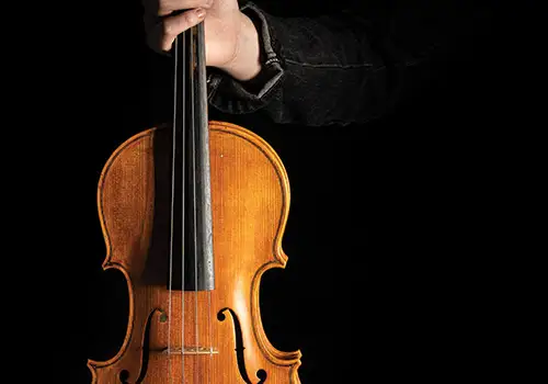 Violin Concert