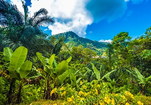 Barry Pell Photo Adventure: Madagascar