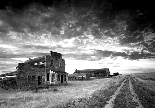 A Look Back at The Great Depression