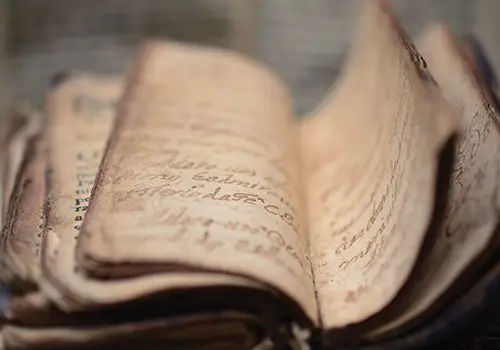 From Day to Day: One Man's Diary of Survival in Nazi Concentration Camps