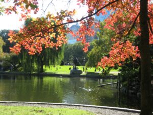 Fall in the public garden, Boston