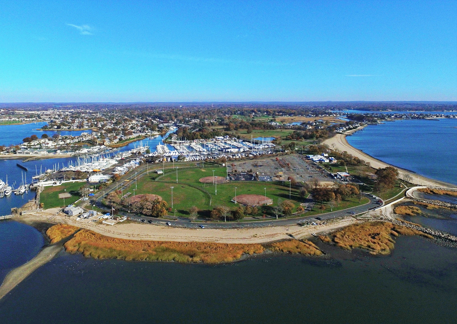 An Evening of Art: David Fales