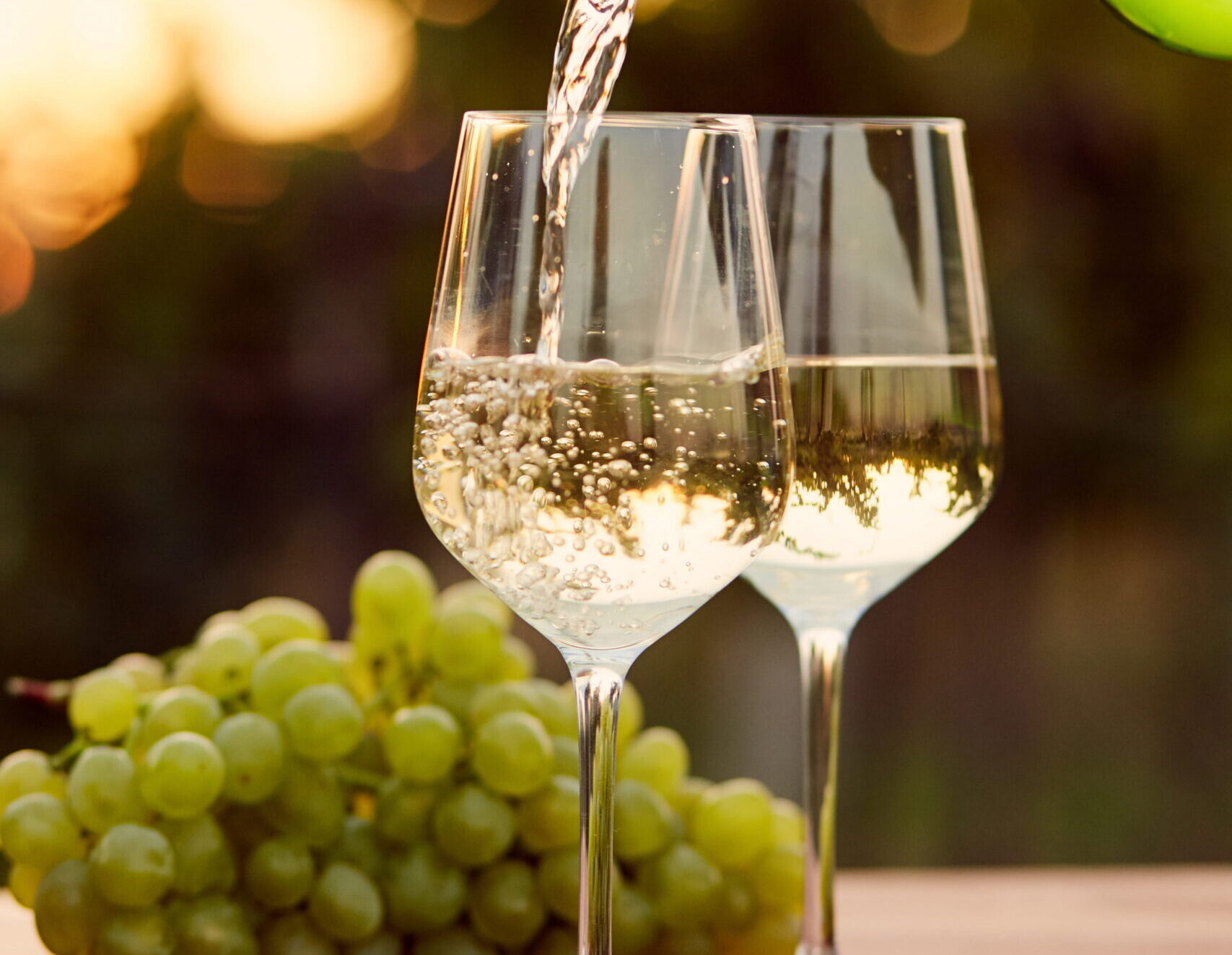 Spring Sips: Wine Tasting