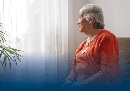 Education Seminar with McLean Hospital: Navigating Guilt, Grief & Loss as a Dementia&nbsp;Caregiver