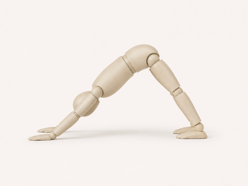 Manakin performing downward dog