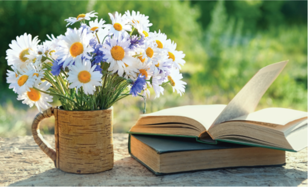 Summer Reads