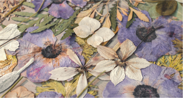 The Art of Botanicals: Dried Flower Card-Making
