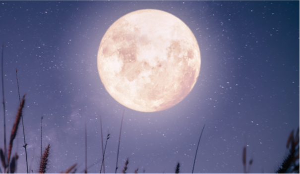 Moon Festival Celebration